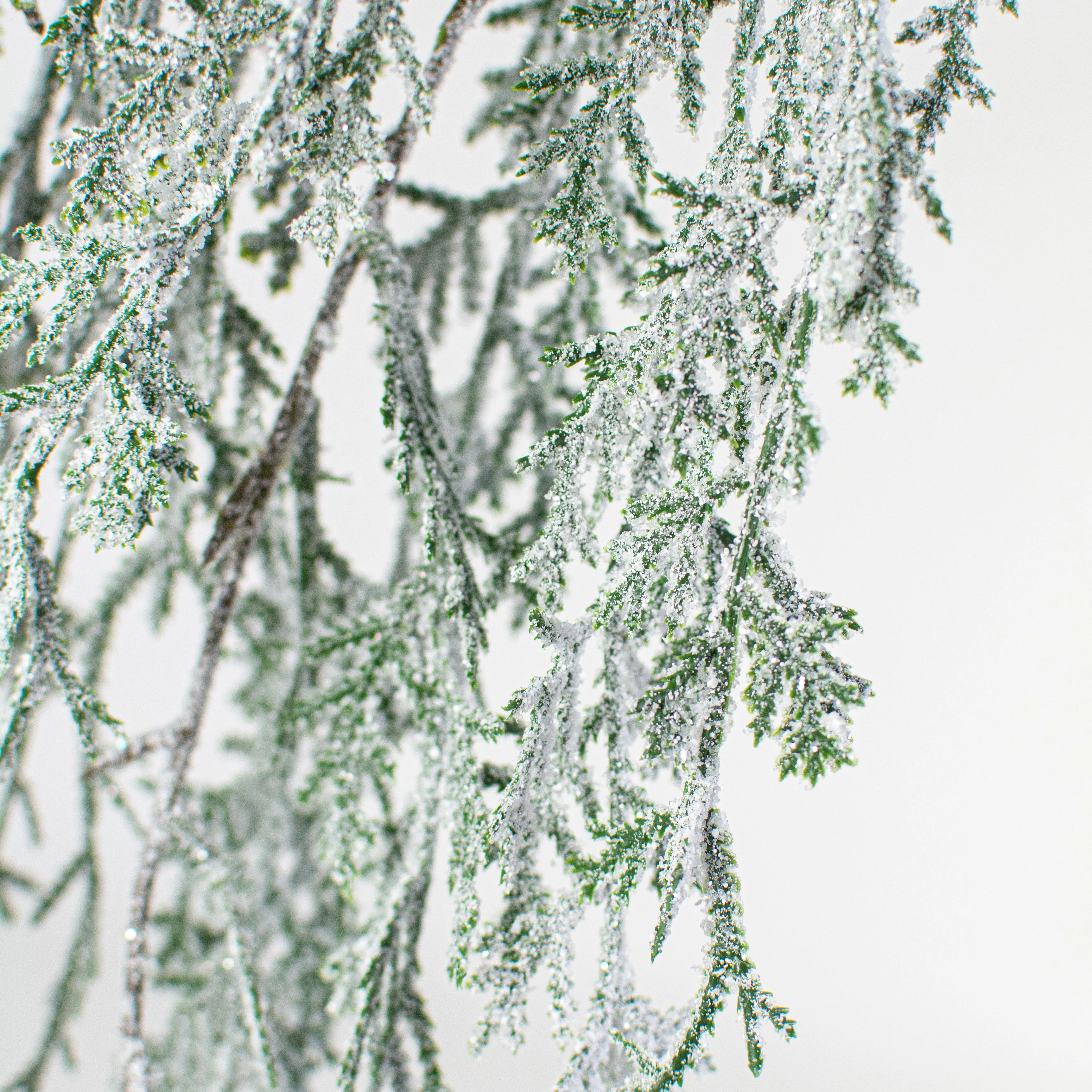 44" Hanging Cedar Snow Spray