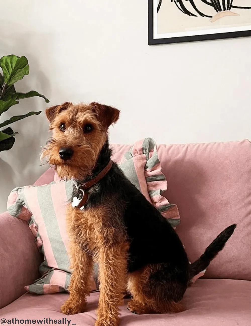 Amuse La Bouche Sage & Blush Ruffle Striped Cushion