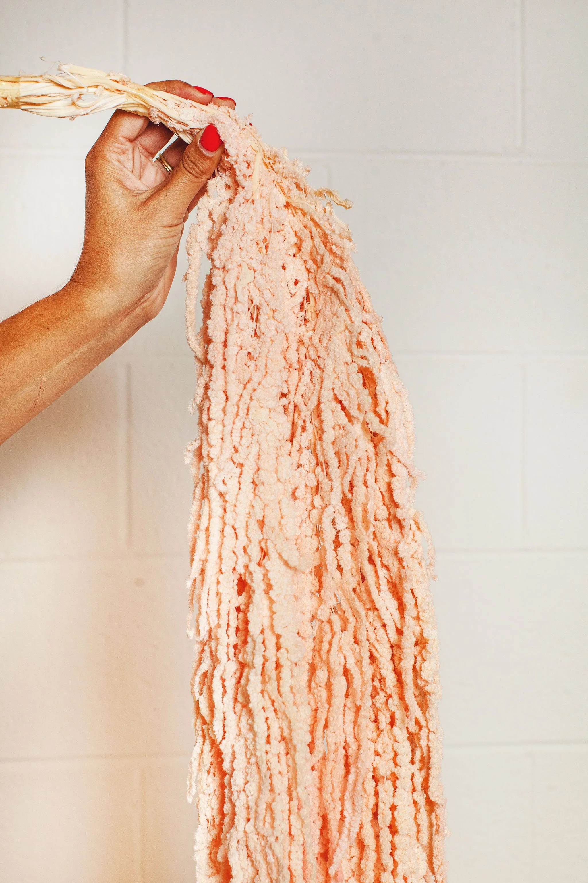 Blush Hanging Amaranthus