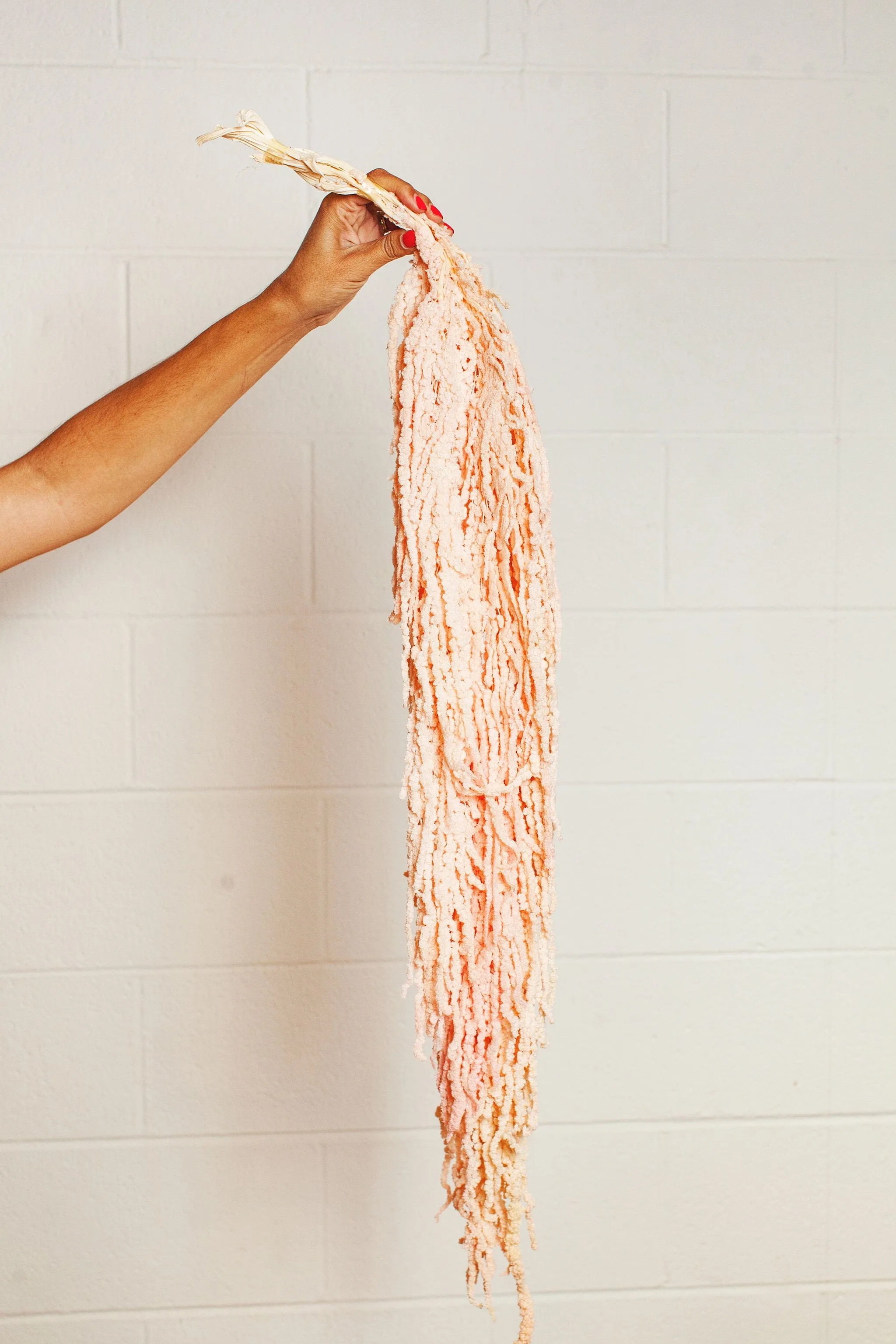 Blush Hanging Amaranthus