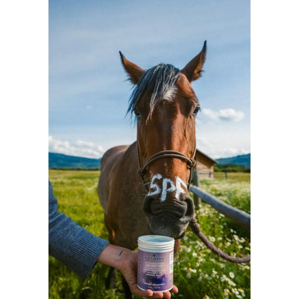Equiderma Zinc Oxide Paste For Horses (16 oz)