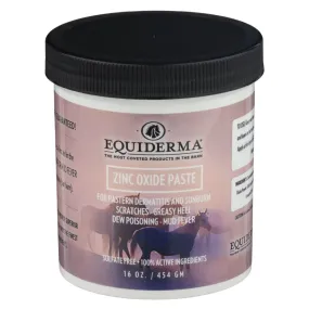Equiderma Zinc Oxide Paste For Horses (16 oz)