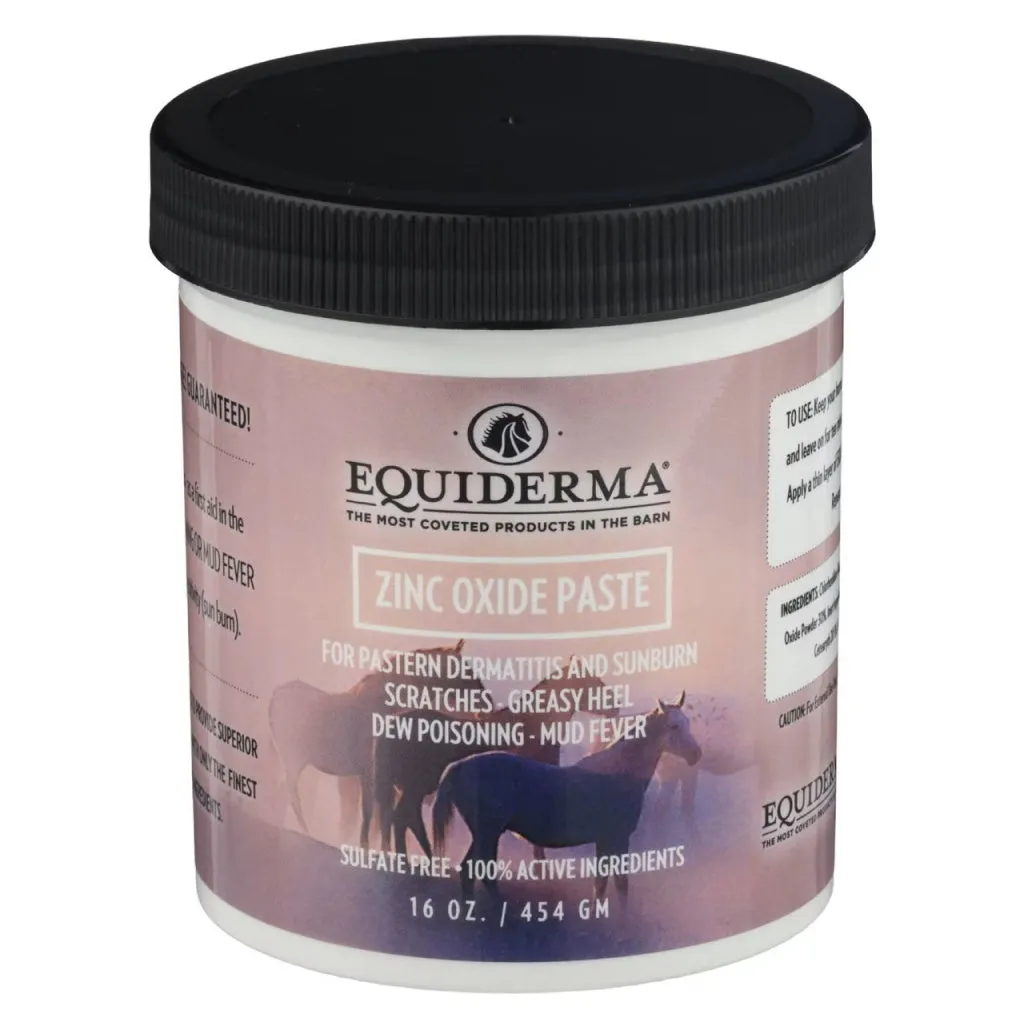 Equiderma Zinc Oxide Paste For Horses (16 oz)