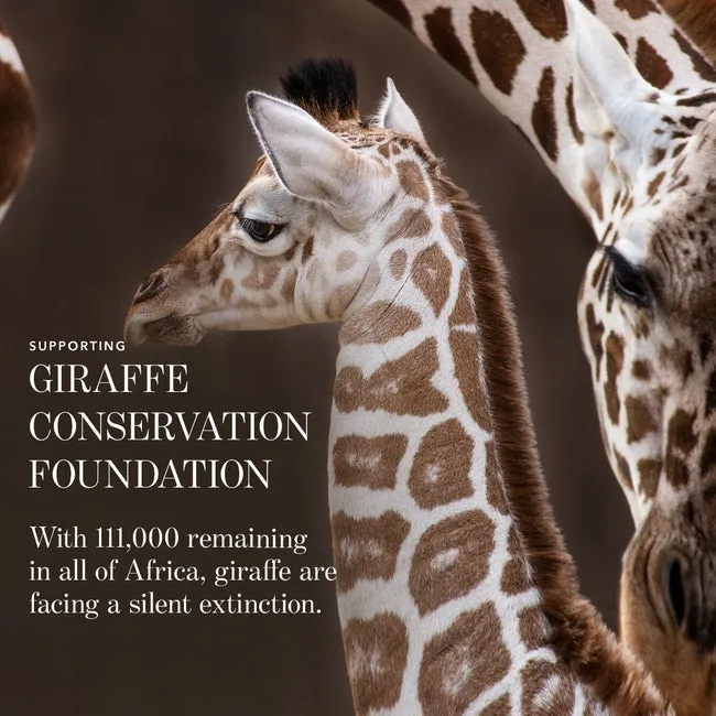Lip Chic - Supporting Giraffe Conservation Foundation