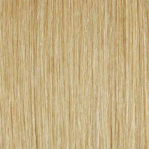 Mane Concept Red Carpet Synthetic Lace Wig - RCV202 VI - Unbeatable